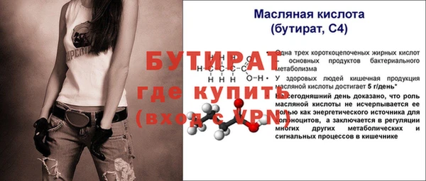 сатива Коряжма