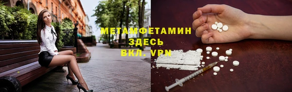сатива Коряжма