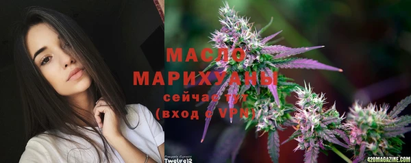 сатива Коряжма