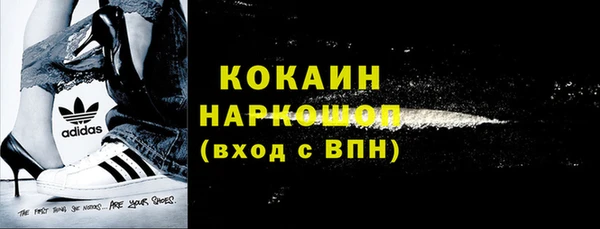 сатива Коряжма