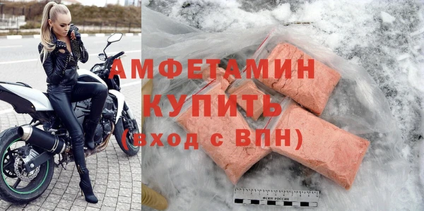 сатива Коряжма
