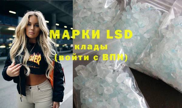 сатива Коряжма