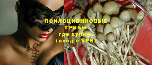 ALPHA PVP Костерёво