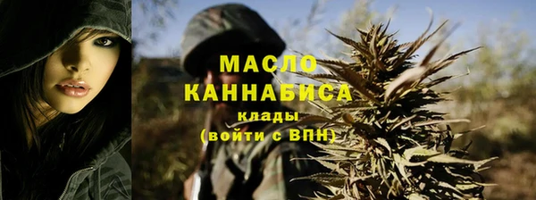 сатива Коряжма