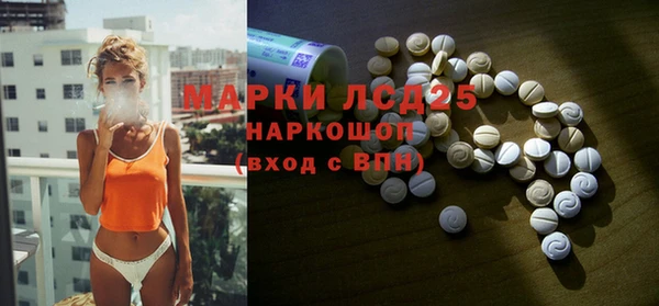 сатива Коряжма