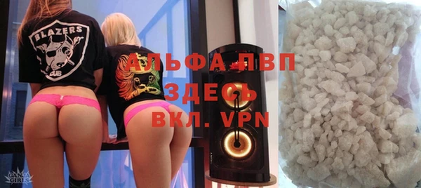 сатива Коряжма