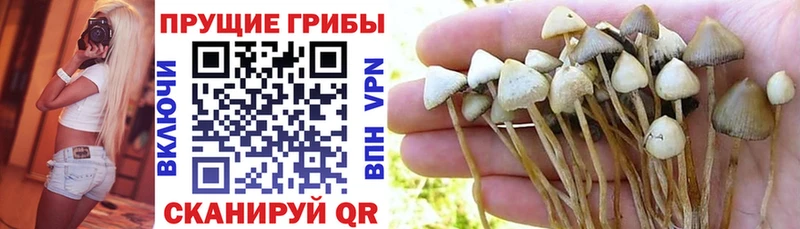 Галлюциногенные грибы Magic Shrooms  Павловская 